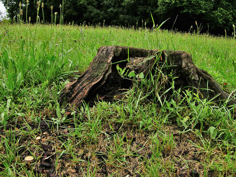 Risposte griglia 2 (marted� 29 maggio)